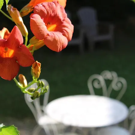 Domaine Du Bourdil - Aude * Chalabre