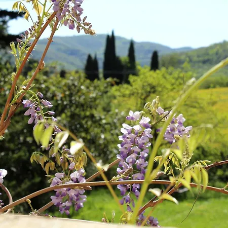 Domaine Du Bourdil - Aude Apartman Chalabre