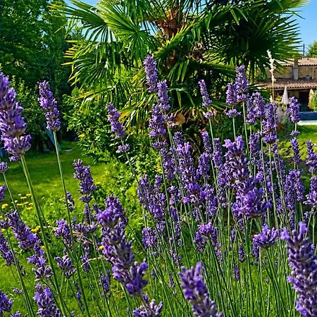 Domaine Du Bourdil - Aude Apartman Chalabre