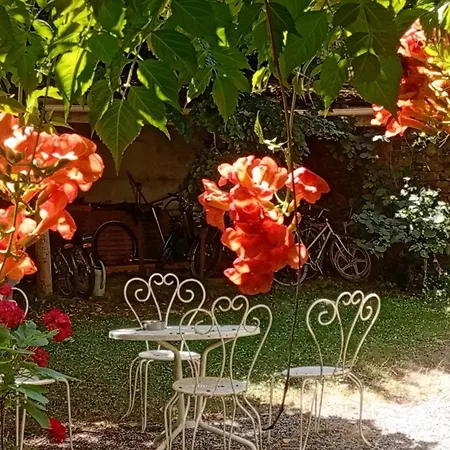 Domaine Du Bourdil - Aude Apartman Chalabre