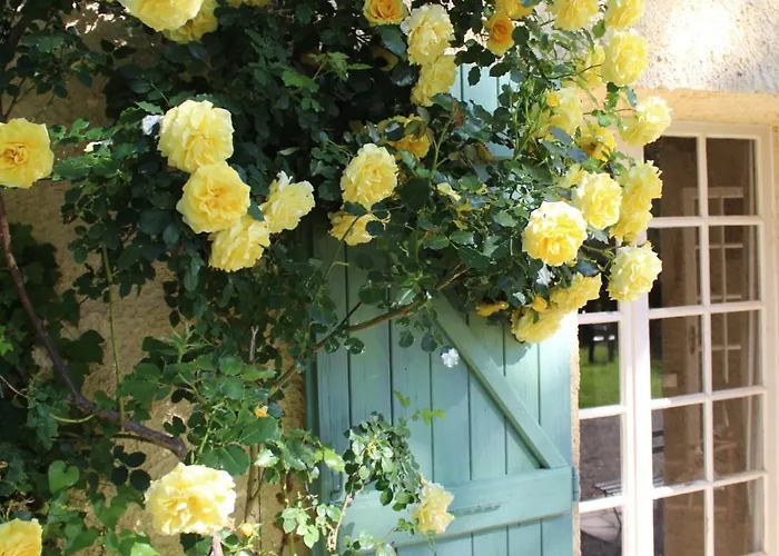 Domaine Du Bourdil Au Pays Cathare Chalabre